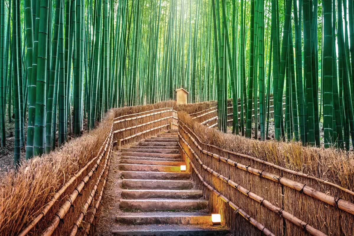 Fushimi Inari Taisha